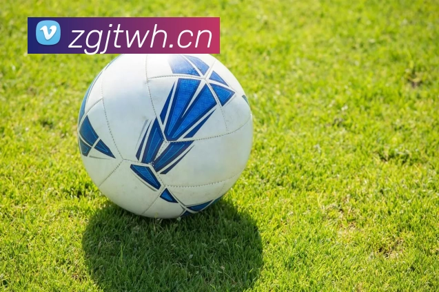 开云手机入口官网 - 开云online(中国)APP 封面图